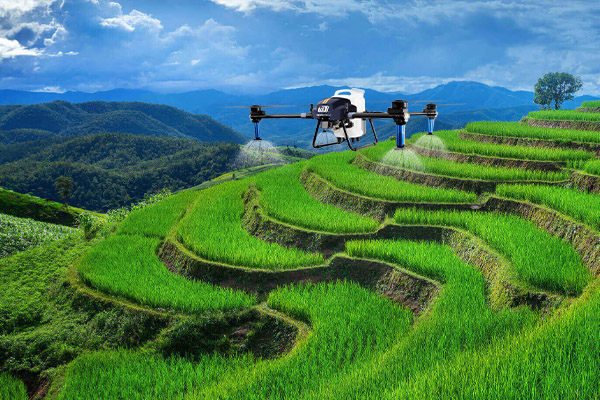 drone deliver the essentials