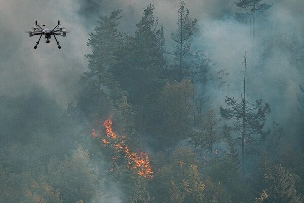 forest fire smog around