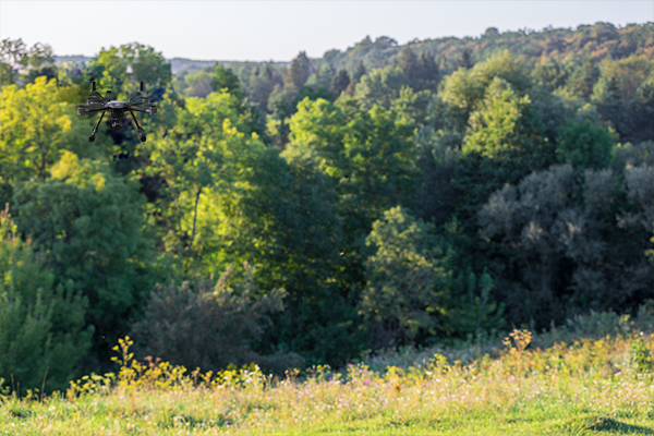 Tracking of Greenery